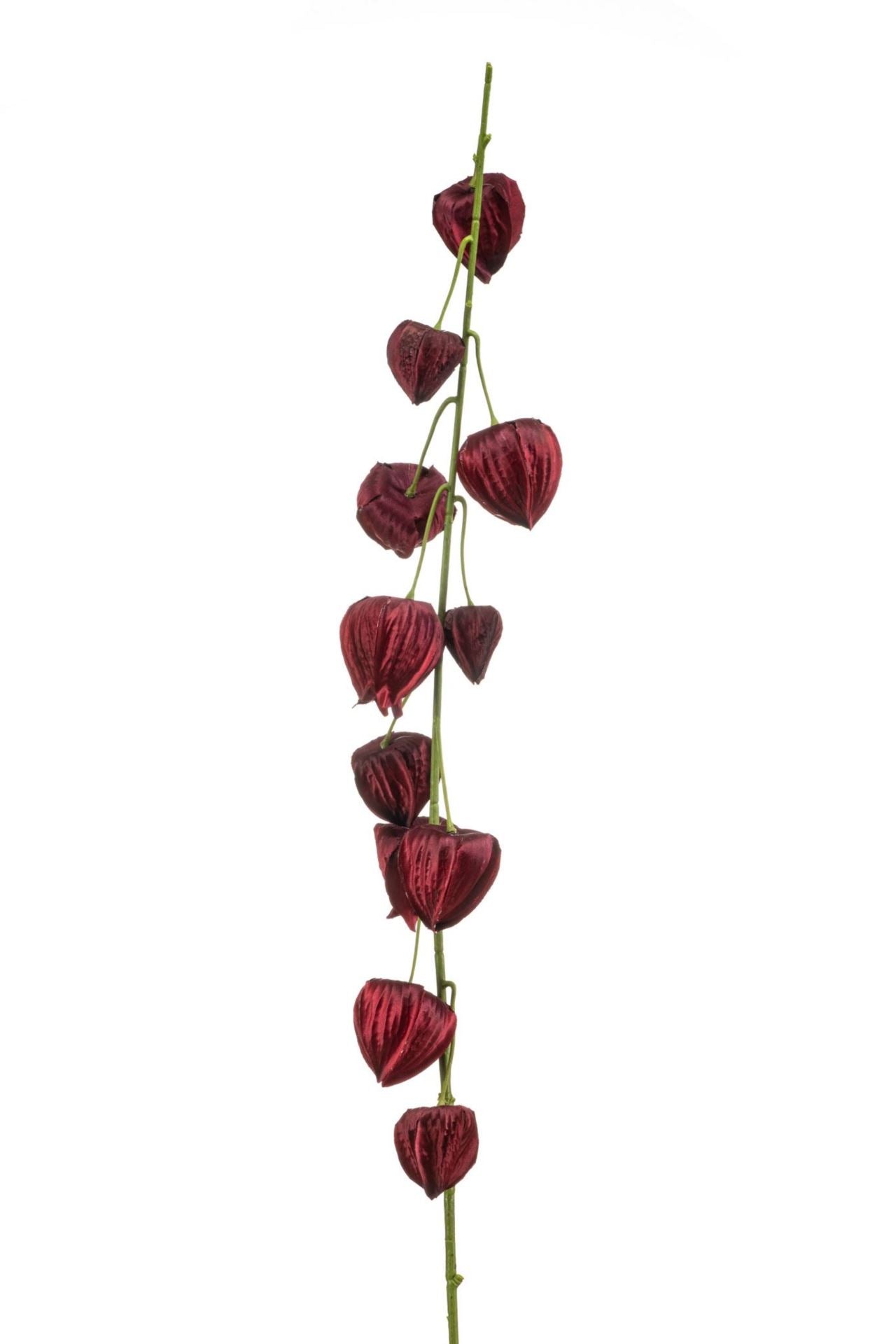 Physalis spray burgundy 97cm