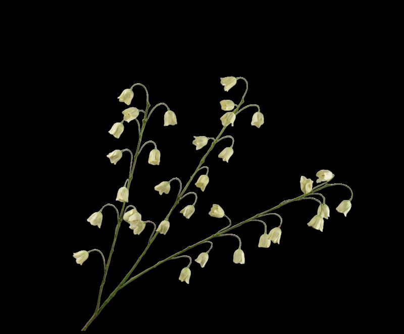FRITILLARIA TAK GROEN  97 cm