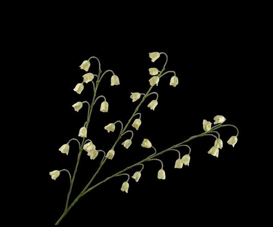 FRITILLARIA TAK GROEN  97 cm