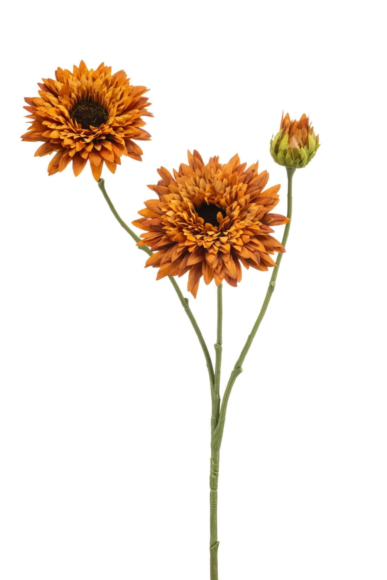 Helianthus spray orange 70cm