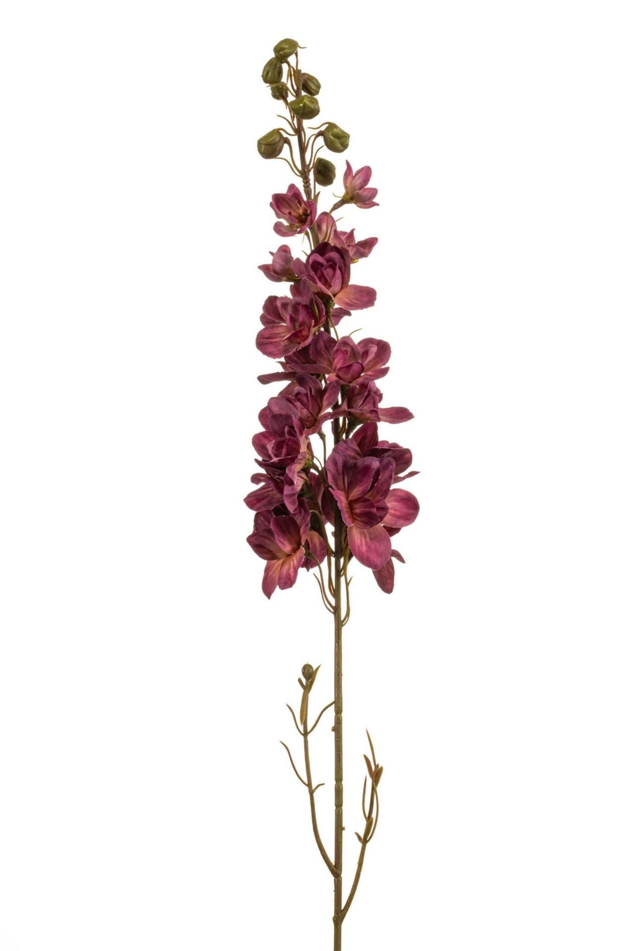 Delphinium spray beauty 87cm