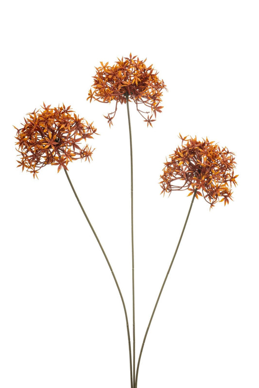 Allium spray orange 62cm