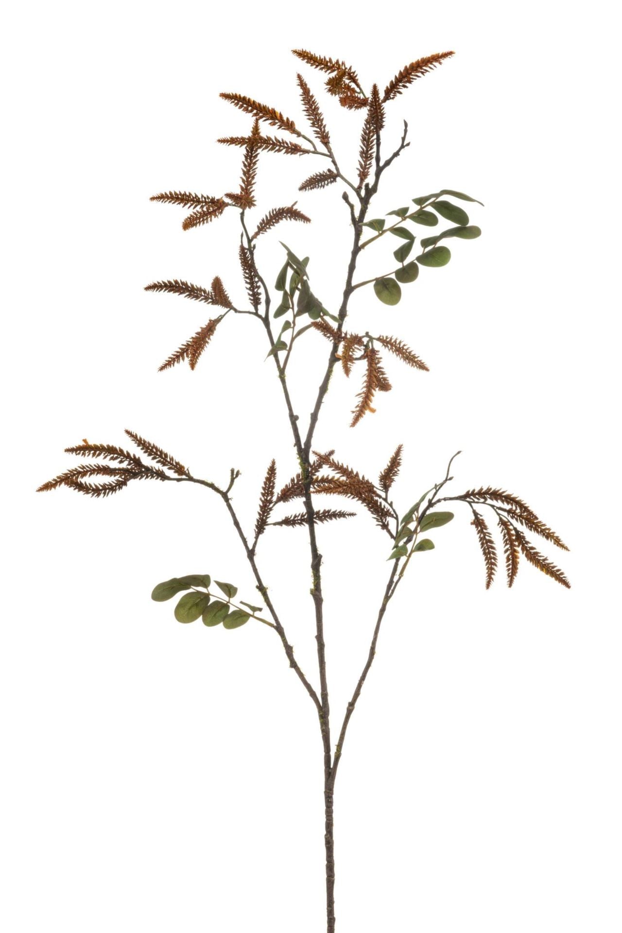 Redwood spray brown 120cm