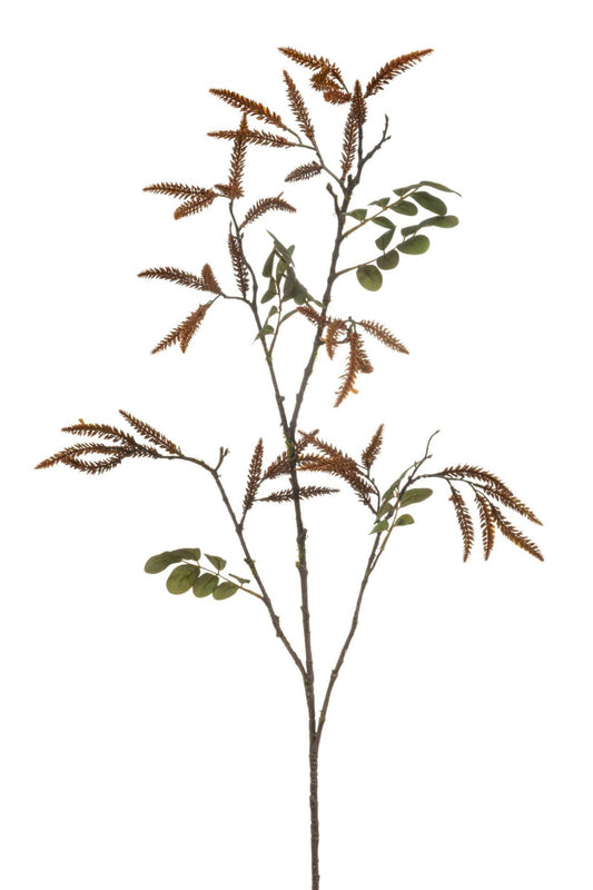 Redwood spray brown 120cm
