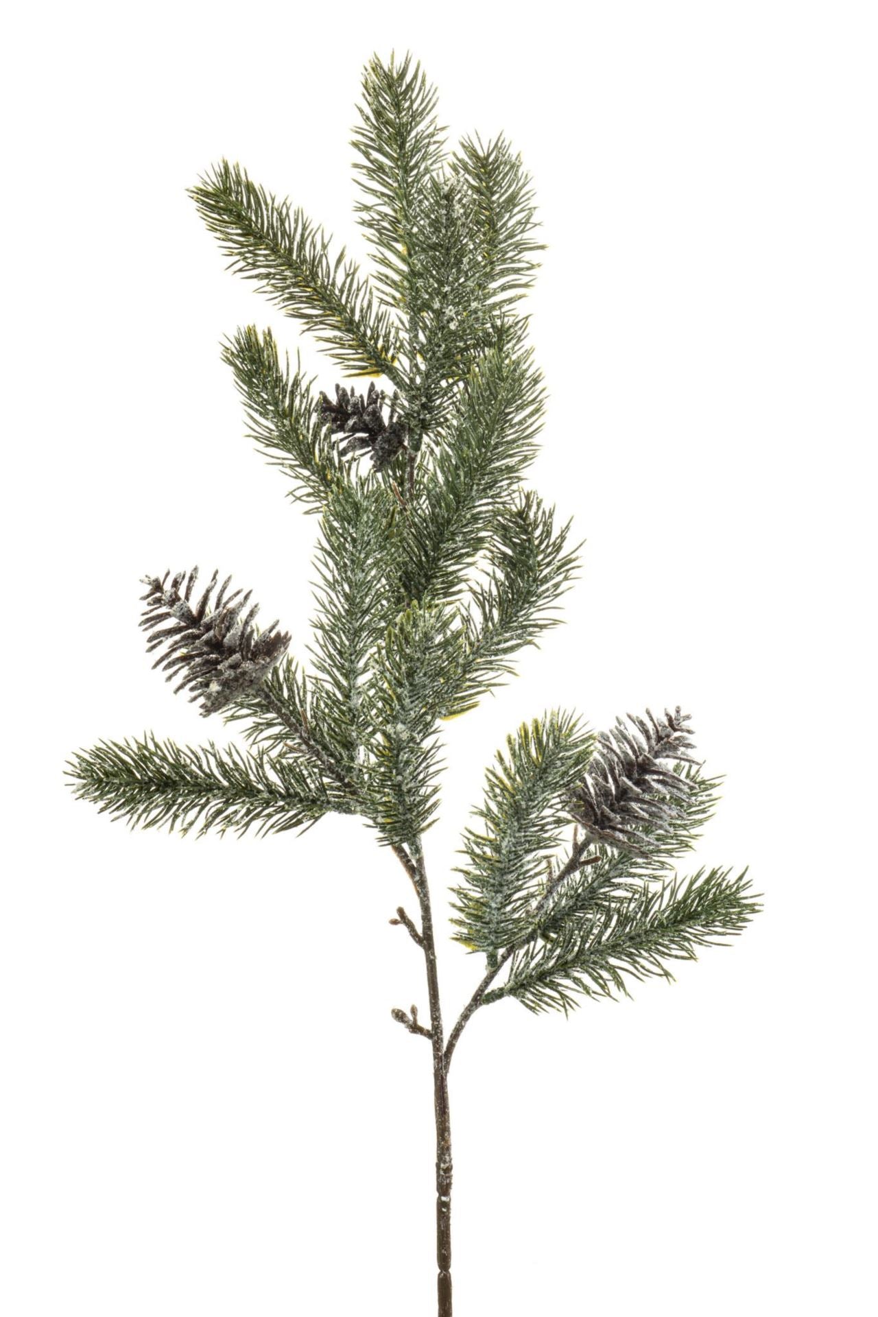 Pine cone spray w snow 70cm