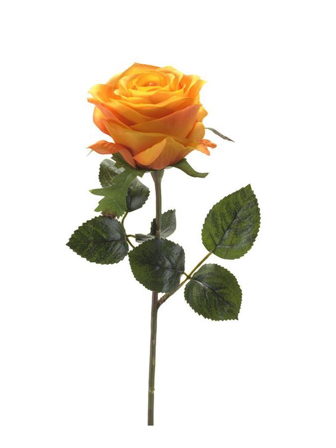 Rose simone spray yellow/orange 45c