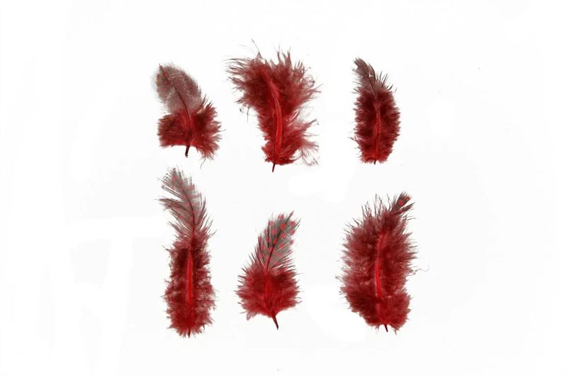 Hoenderveren rood 20gr.
