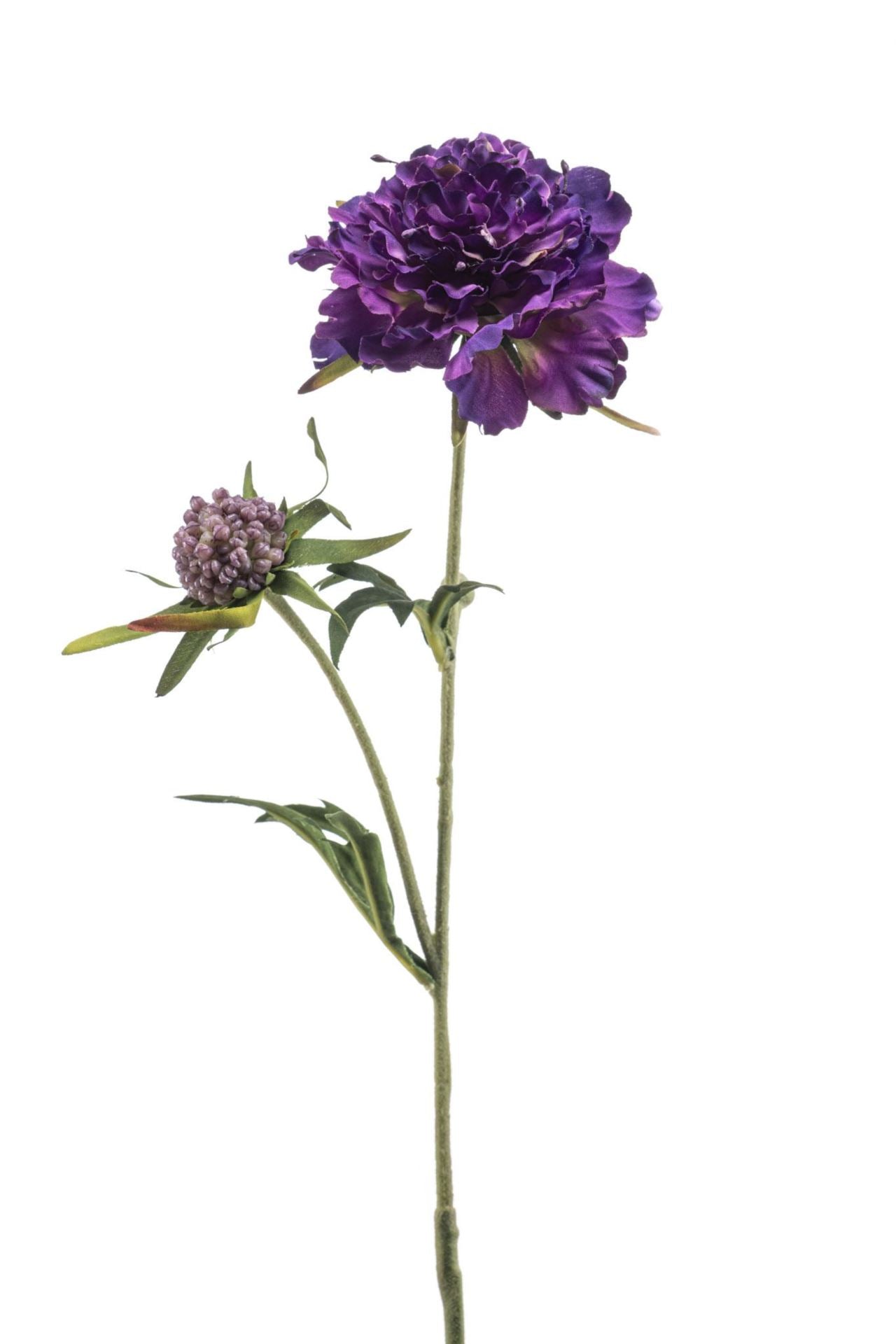 Scabiosa spray purple 57cm