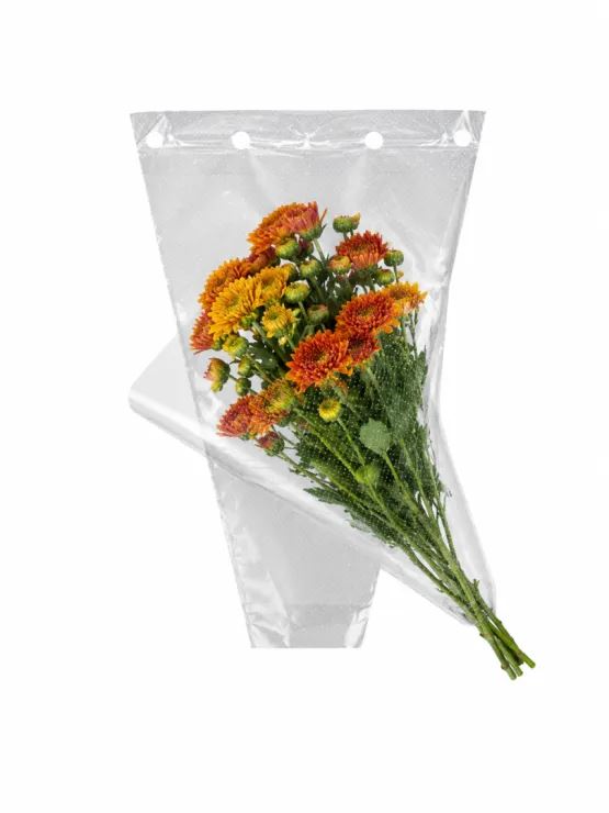 Hoes 50x30x10cm CPP30  a 50st