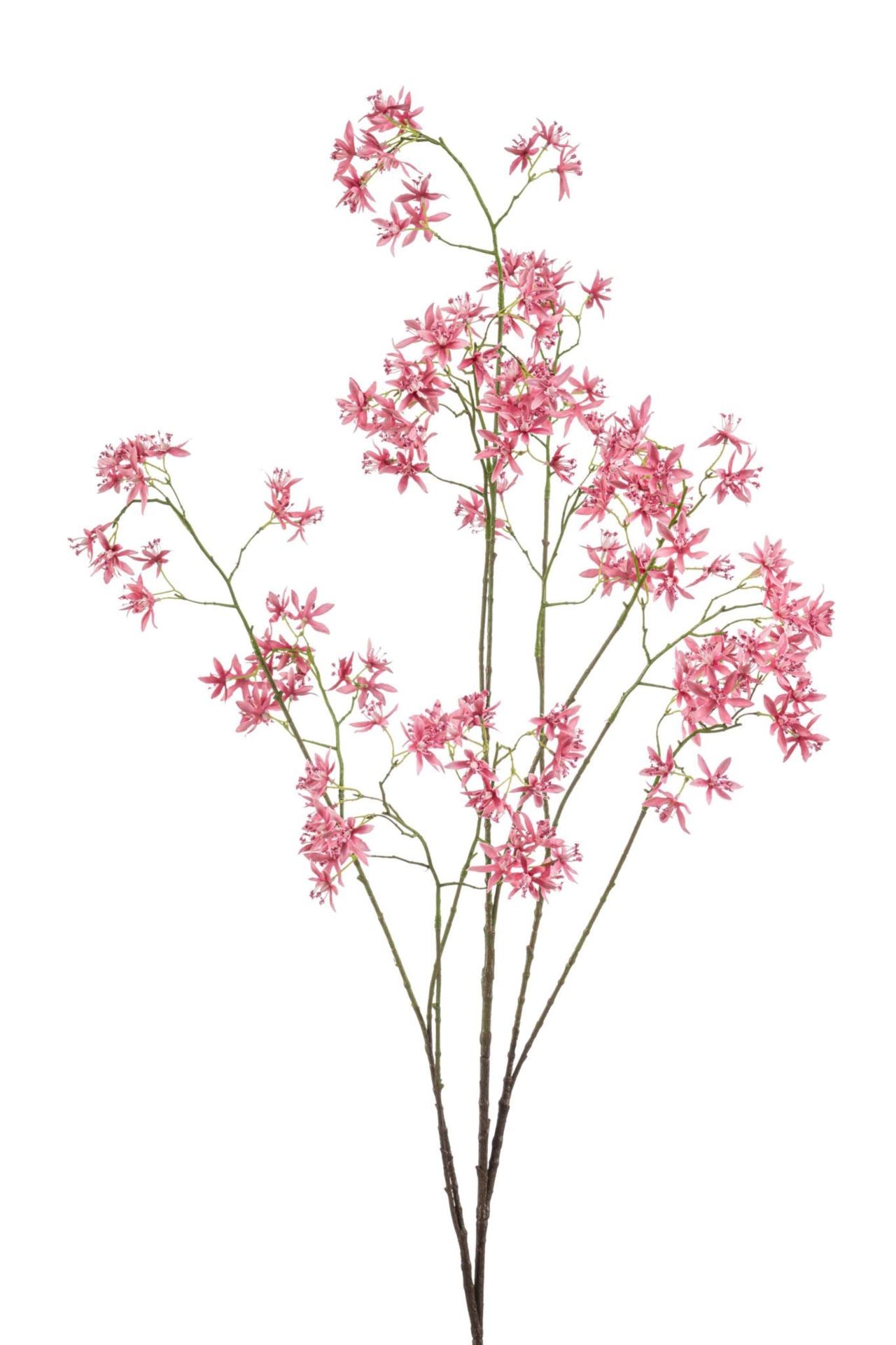 Jasmin spray pink 140cm