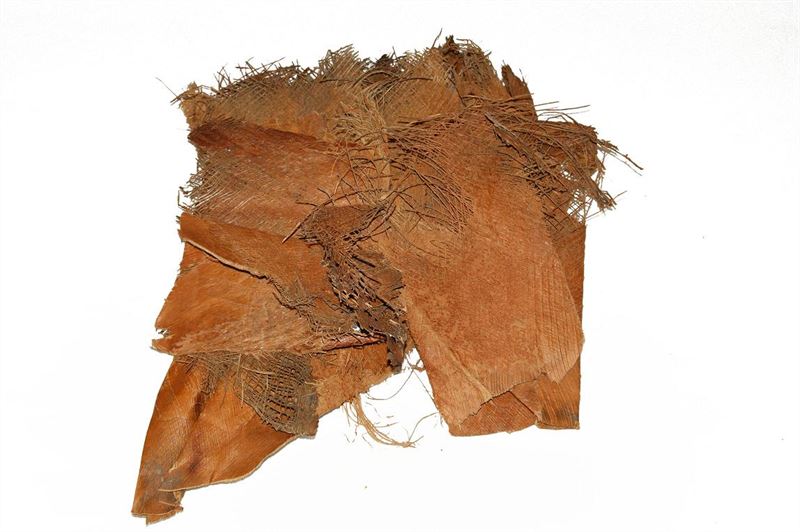 Palm bakla naturel500 gr