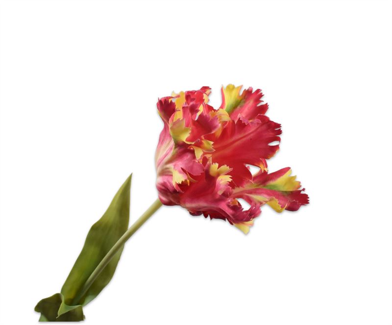TULP STEEL RD/GL RT 71 cm