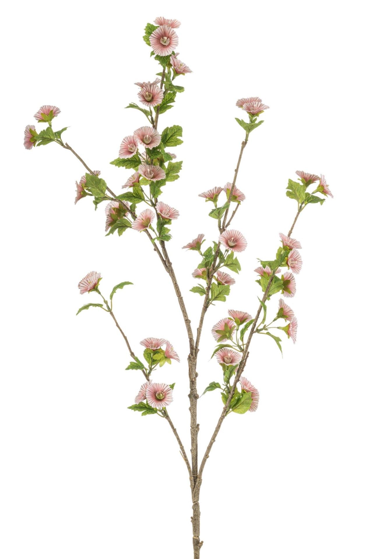 Hibiscus spray peach 109cm