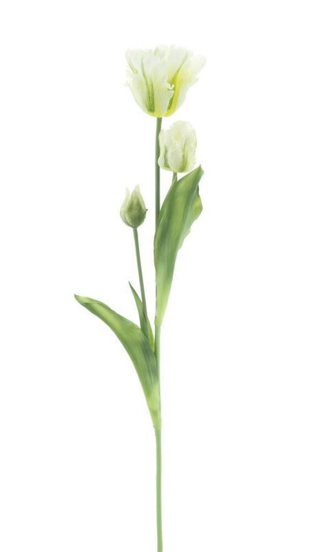 Parrot tulip spray Sally cream 71cm