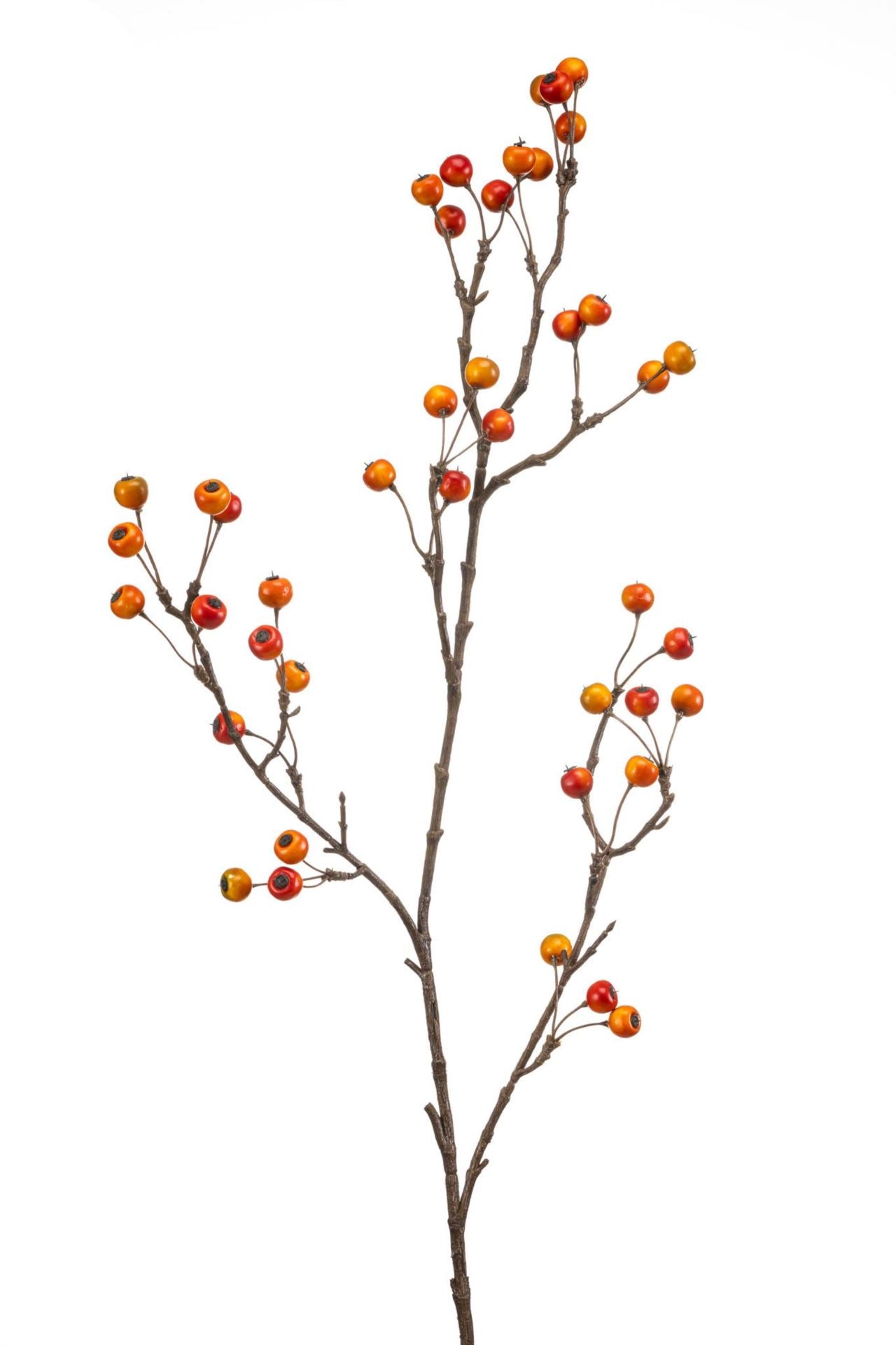 Berry spray orange 100cm