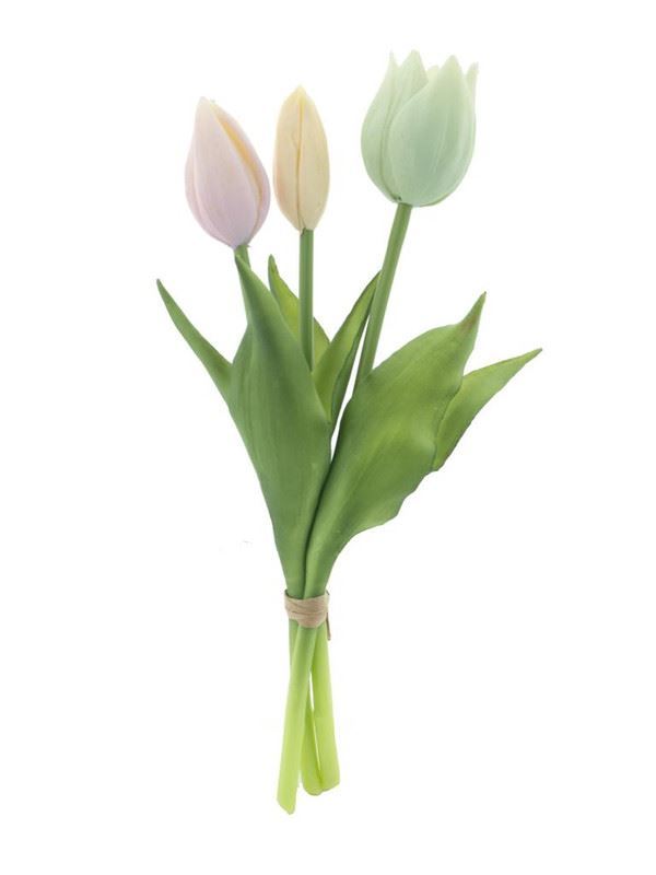 Holland Tulp Sally x3 grs/roze/cr.