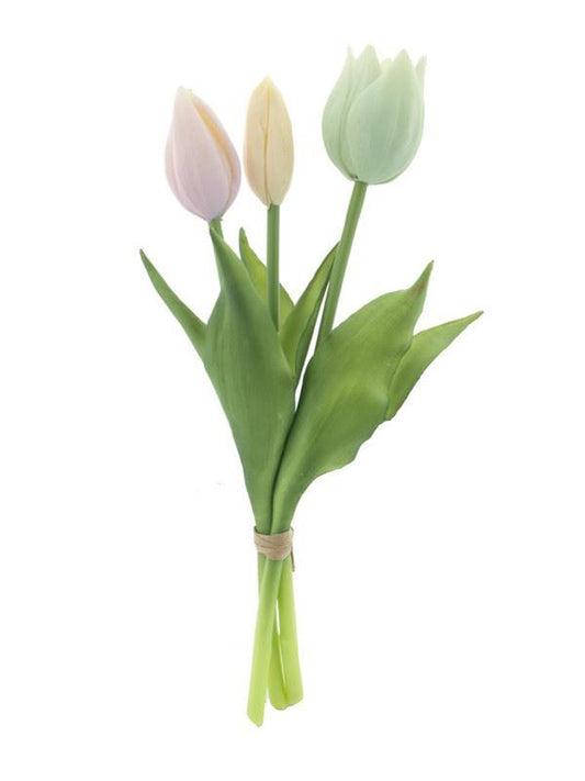 Holland Tulp Sally x3 grs/roze/cr.