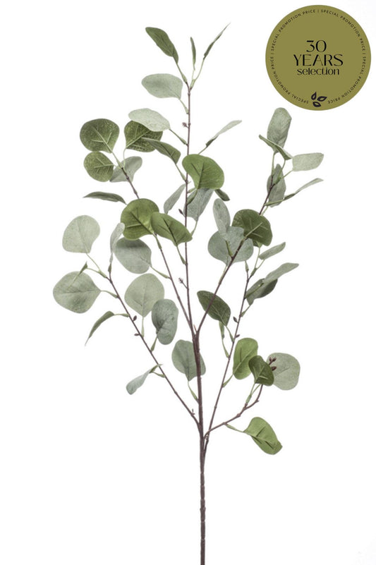 Eucalyptus spray grey/green 87cm