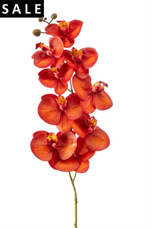 Phalaenopsis spray RT 95cm oranje/r
