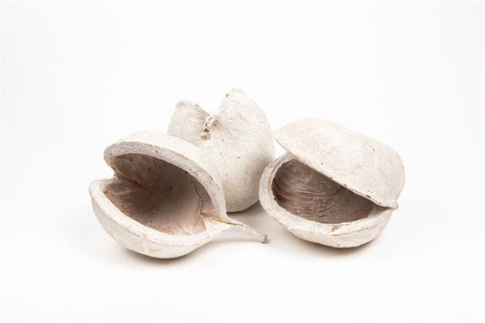 Buddha nuts stone washed wit 5st.