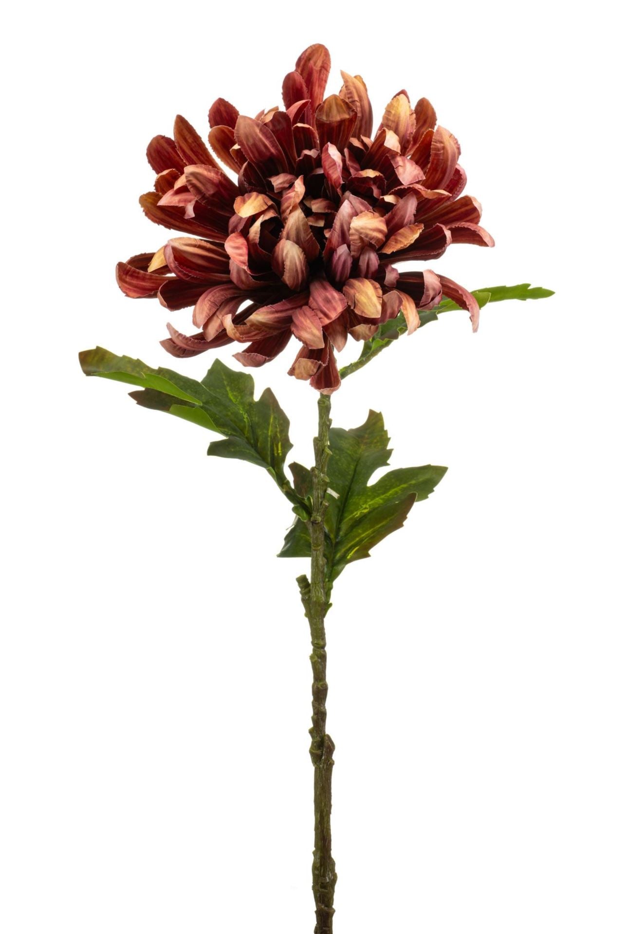 Chrysantum spray mauve 60cm