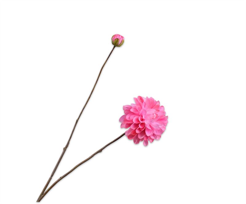 Dahlia 86cm donker roze 24/ds
