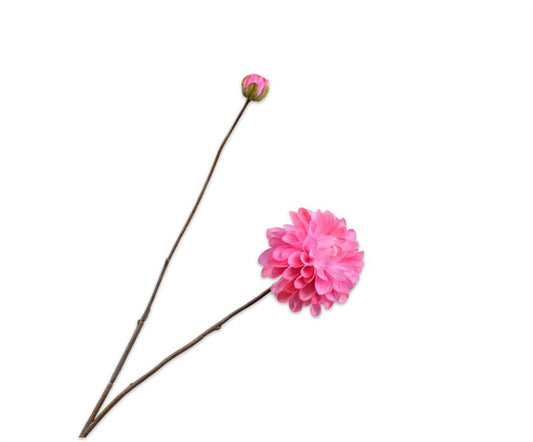 Dahlia 86cm donker roze 24/ds