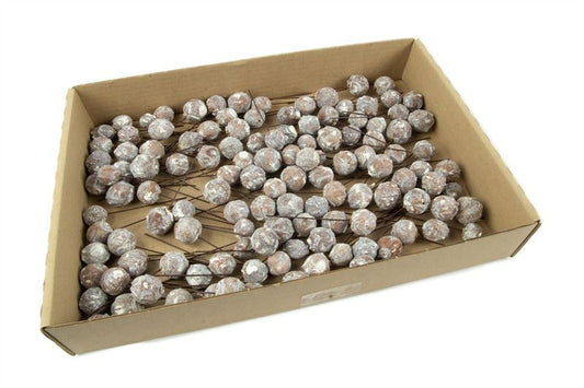 Estrelinia o/dr. stone washed wit12