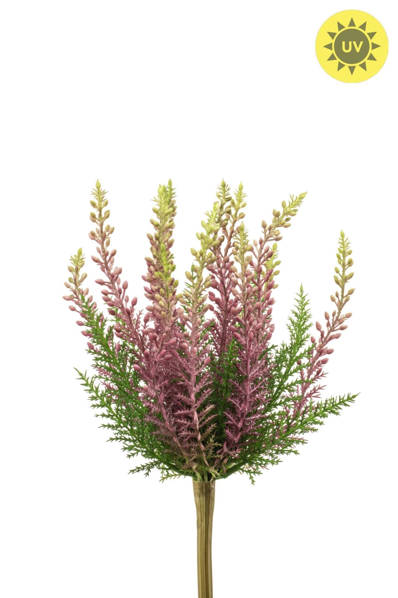 Erica bush UV purple 29cm
