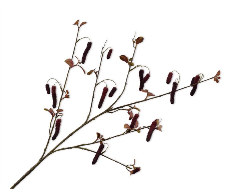 ALNUS TAK BORDEAUX  113 cm