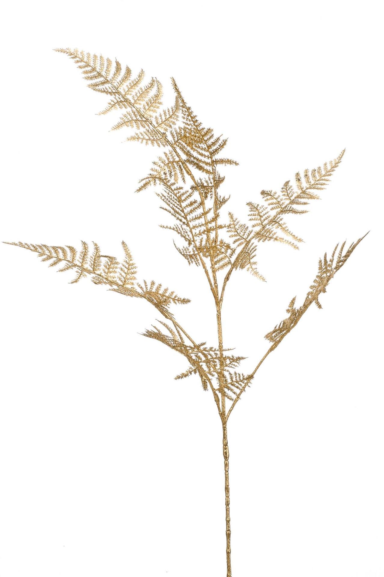 Asparagus spray gold 85cm