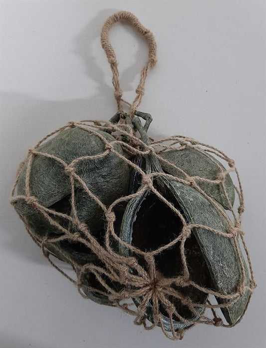 Buddha nuts net pearl wash appelgro