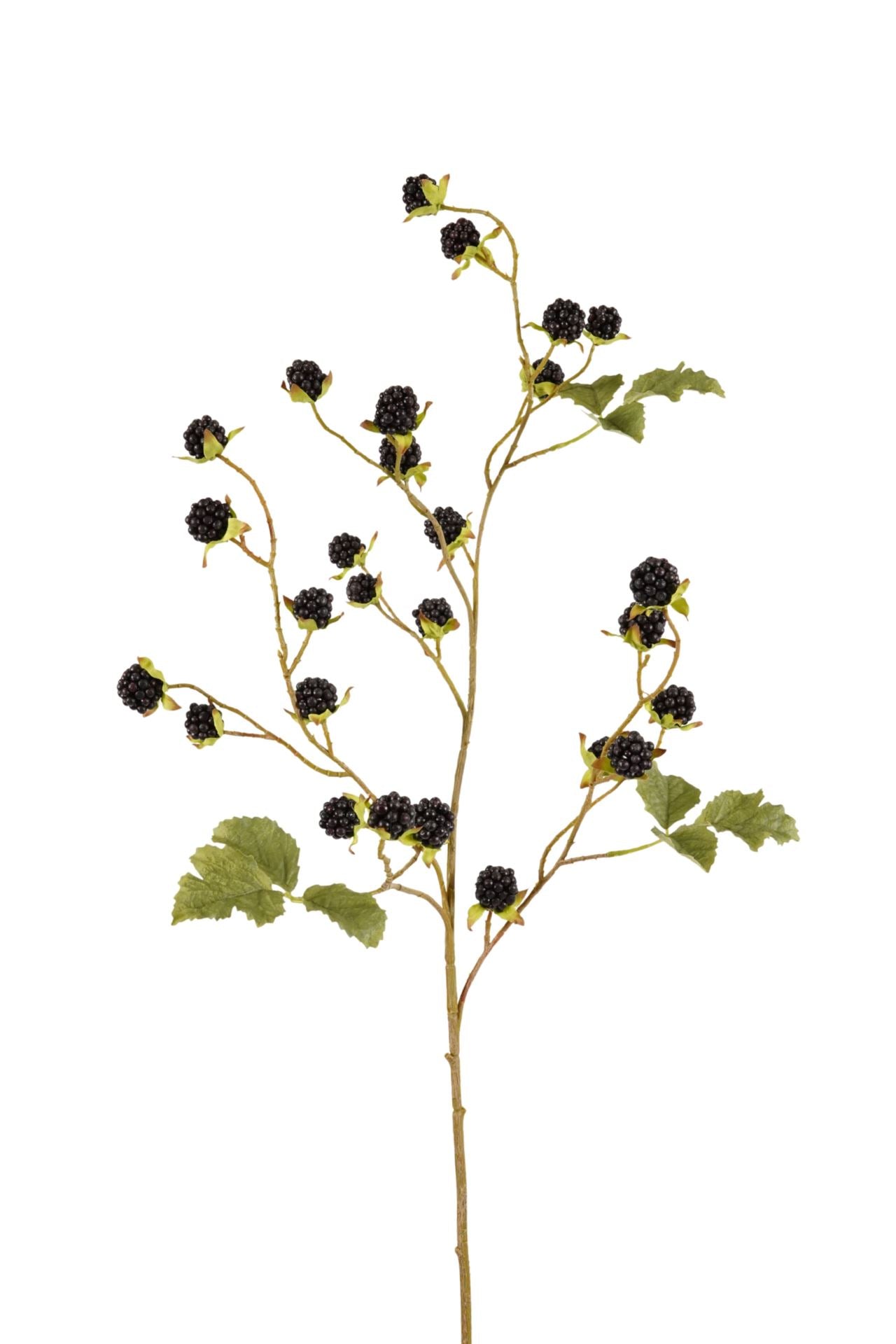 Blackberry spray black 100cm