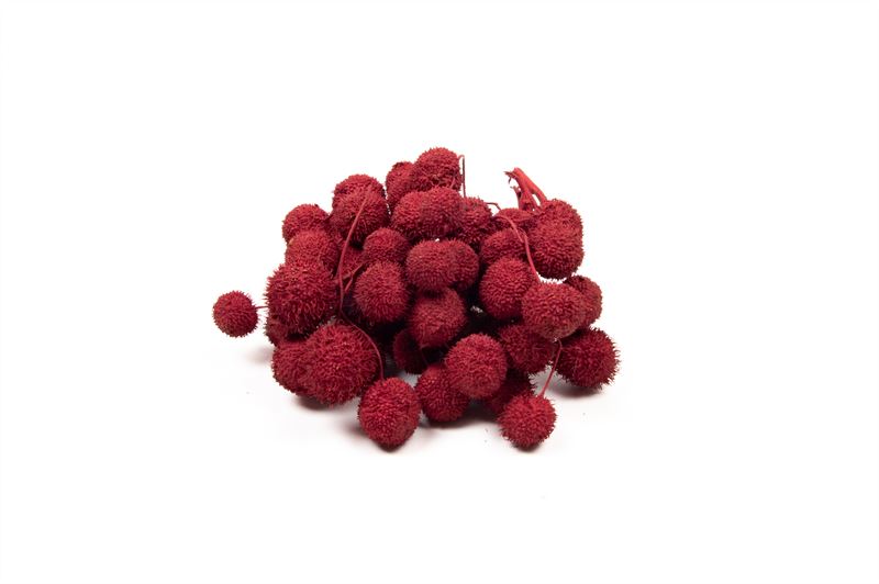 Plataanballen bordgroen 250gr.