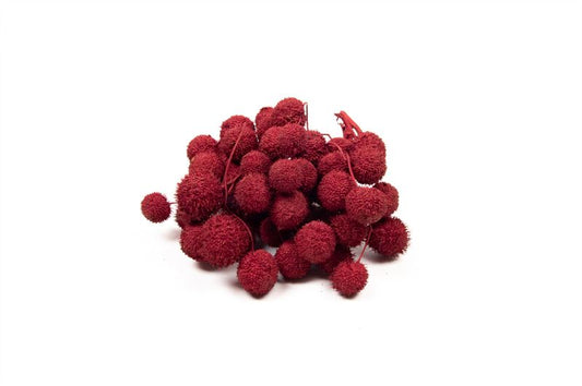Plataanballen bordgroen 250gr.