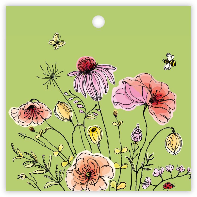 Kadokaartjes Beetle a 12 stuks Blan
