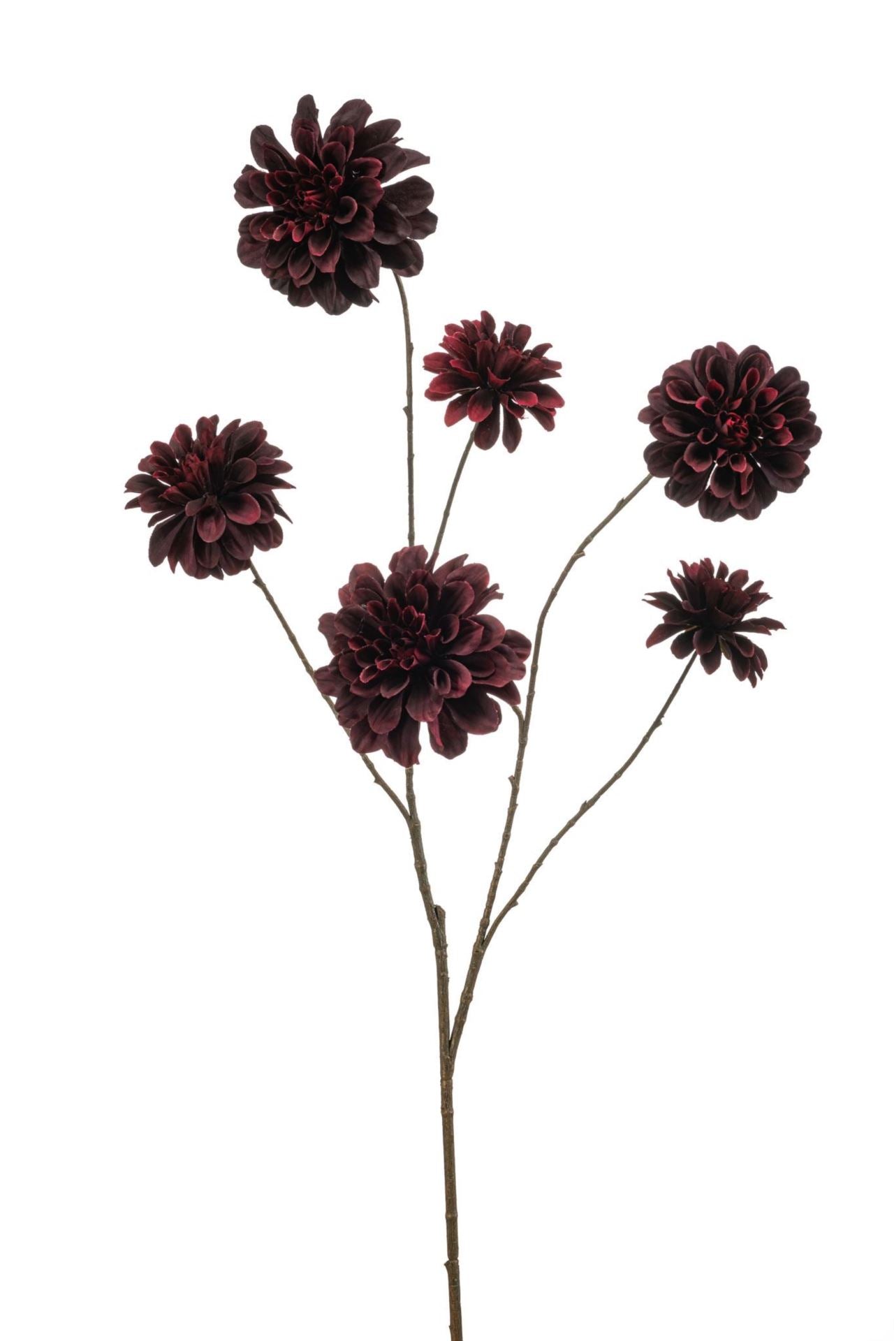 Dahlia spray burgundy 110cm