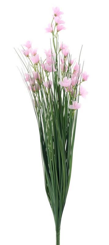 Campanula bush grass pink 71cm