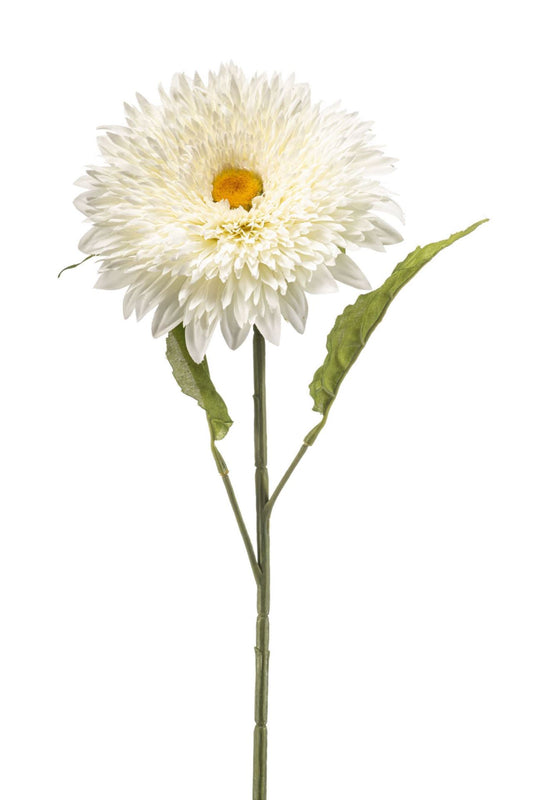 Helianthus spray white 65cm