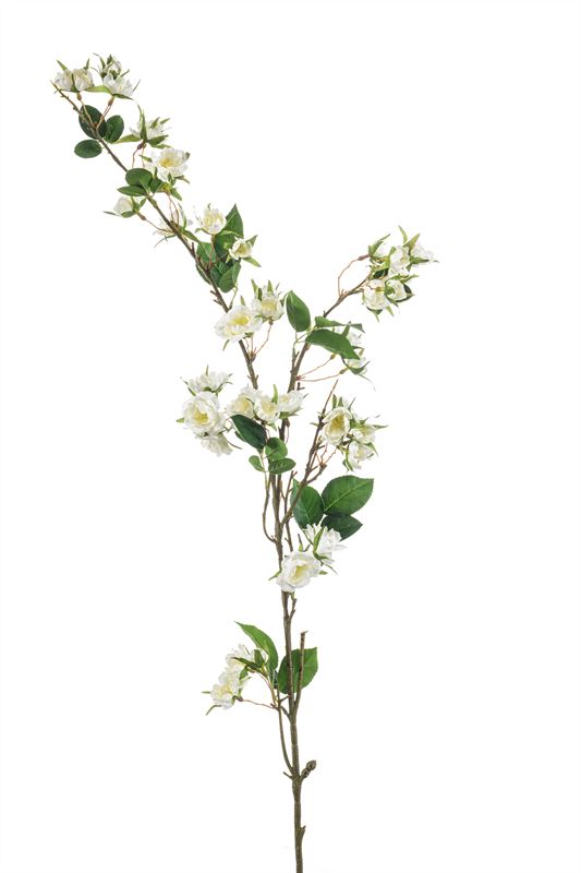 Rose mini spray cream 120cm