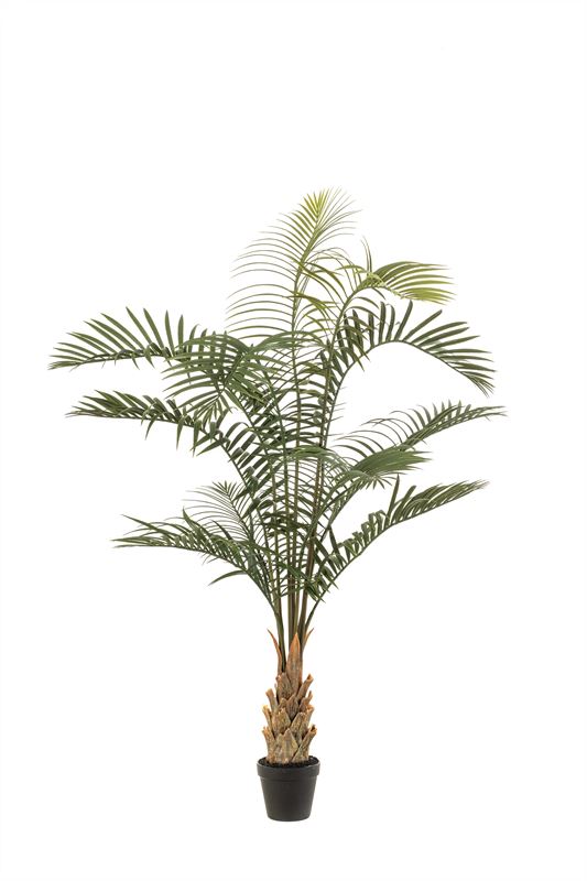 Palm areca UV 120cm