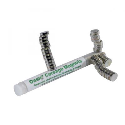 Oasis® corsage magneet D.1cm a 30 s