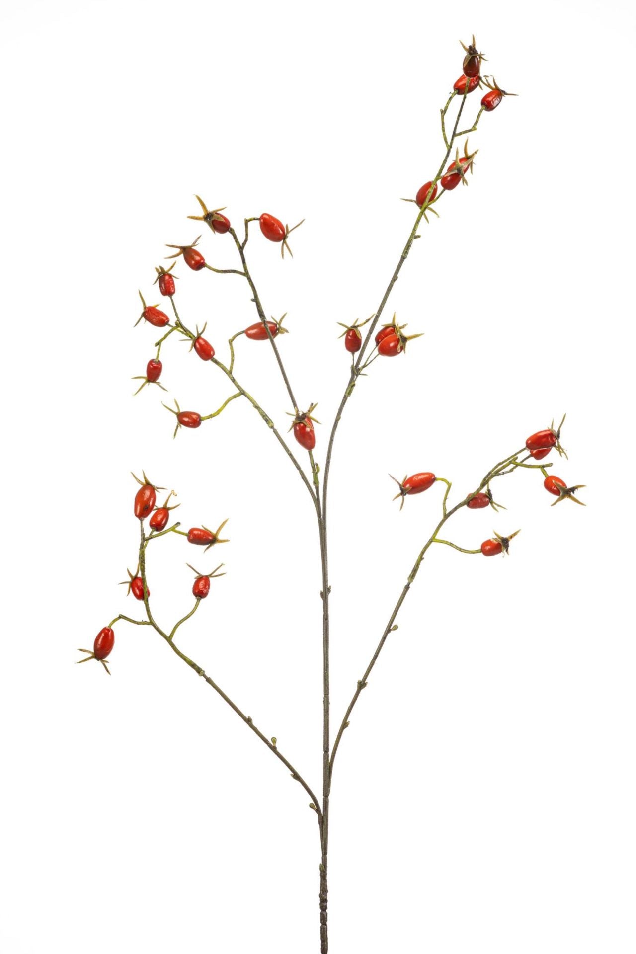 Rosehip spray red 90cm