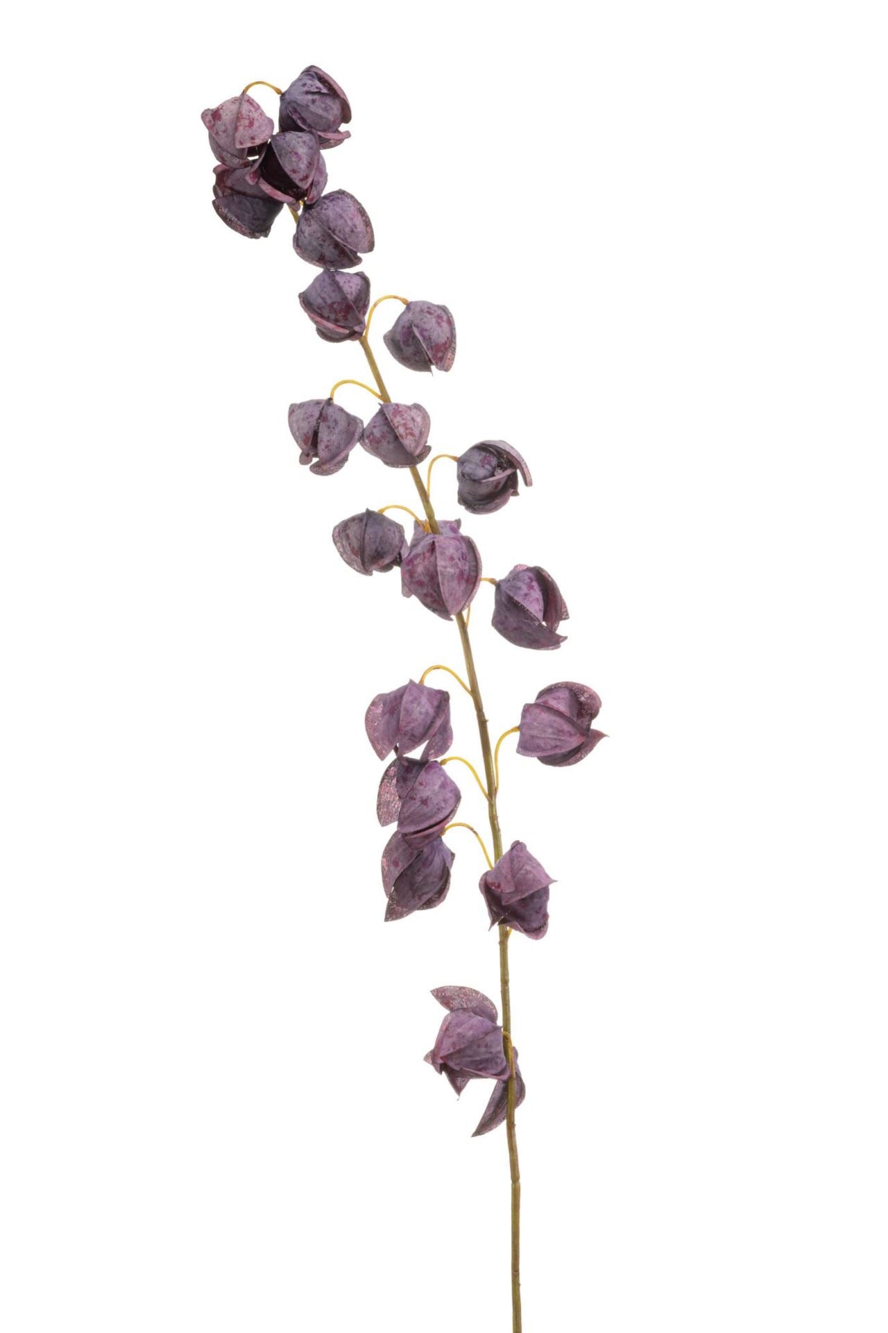 Physalis spray purple 130cm