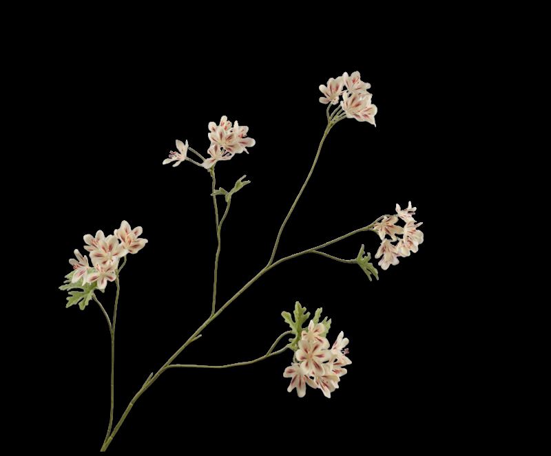 GERANIUM TAK CR/BRN  94 cm