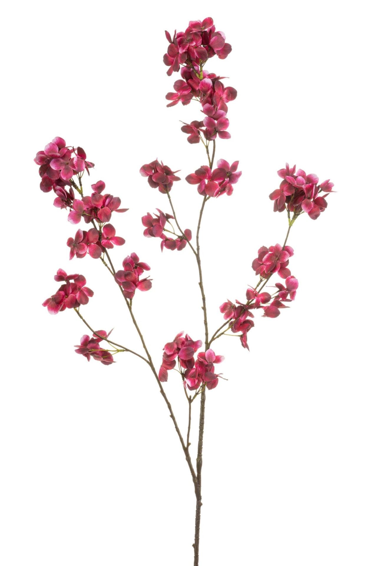 Hydrangea blossom spray beauty 110c