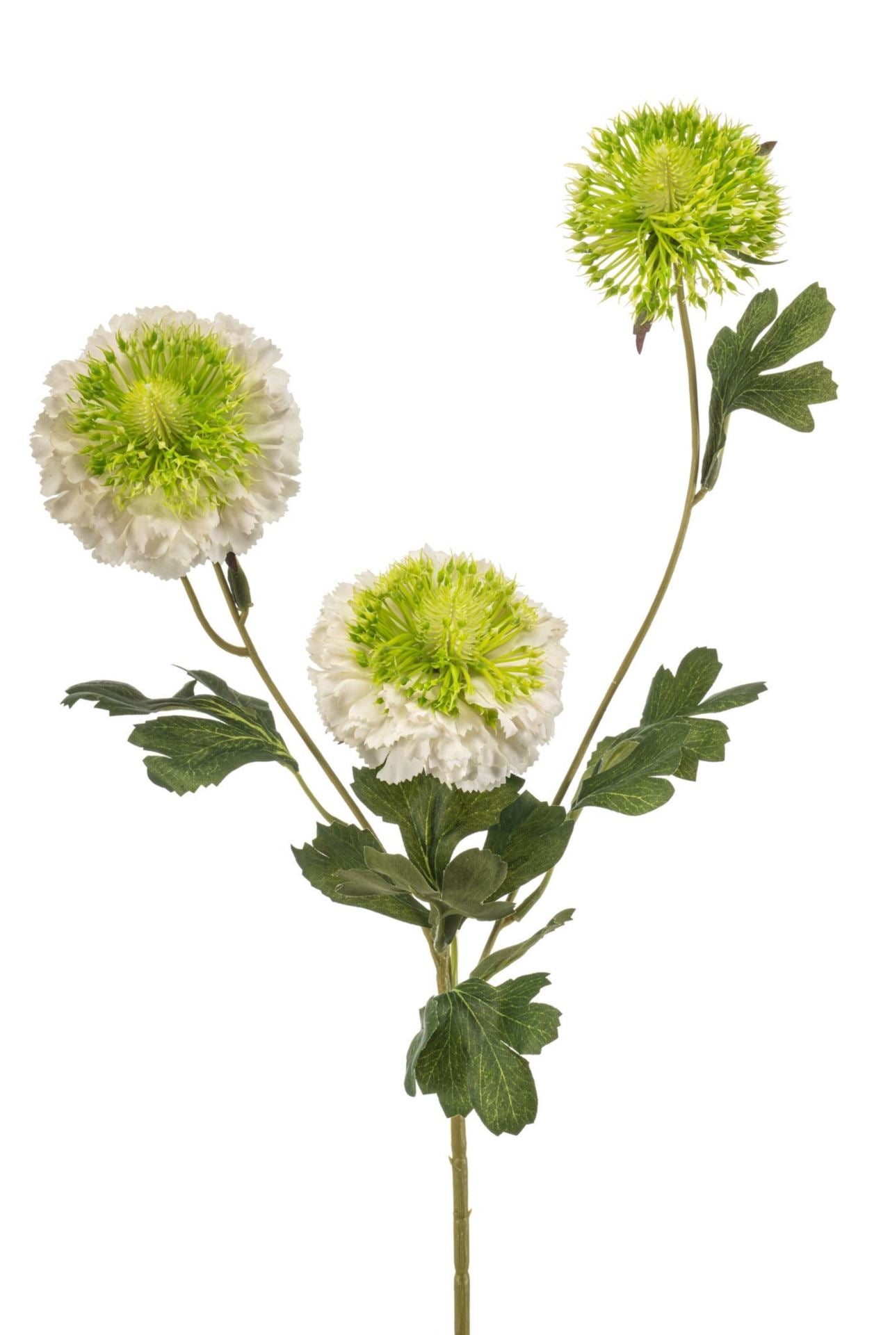Scabiosa spray RT white 78cm