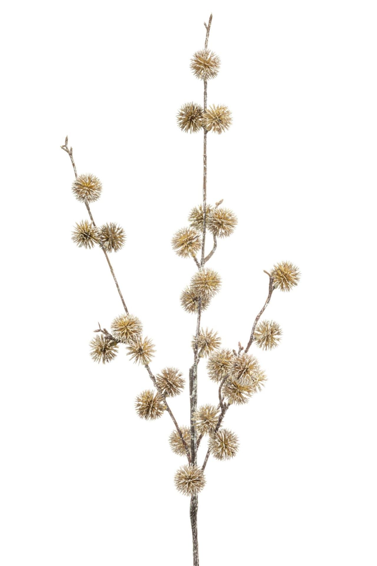 Chestnut spray cream whitewash 85cm