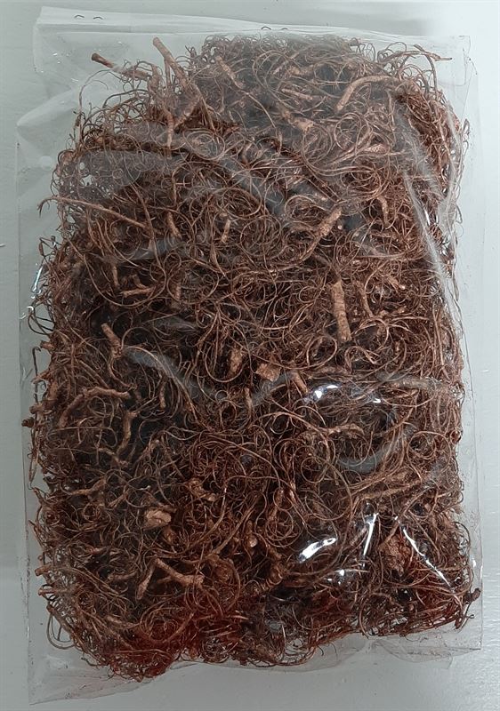 Curly mos koper
