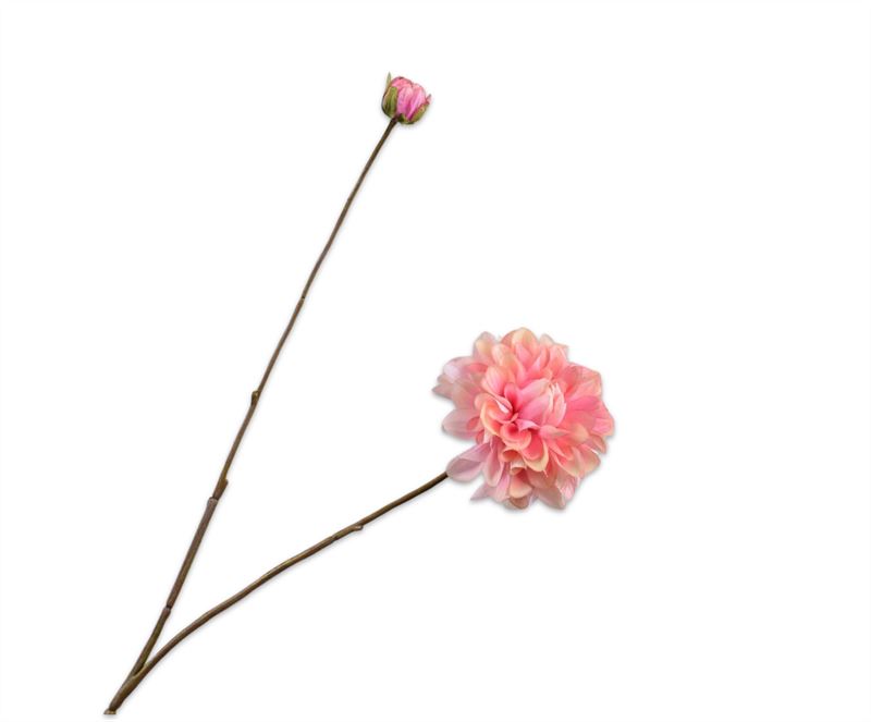 Dahlia 86cm roze 24/ds